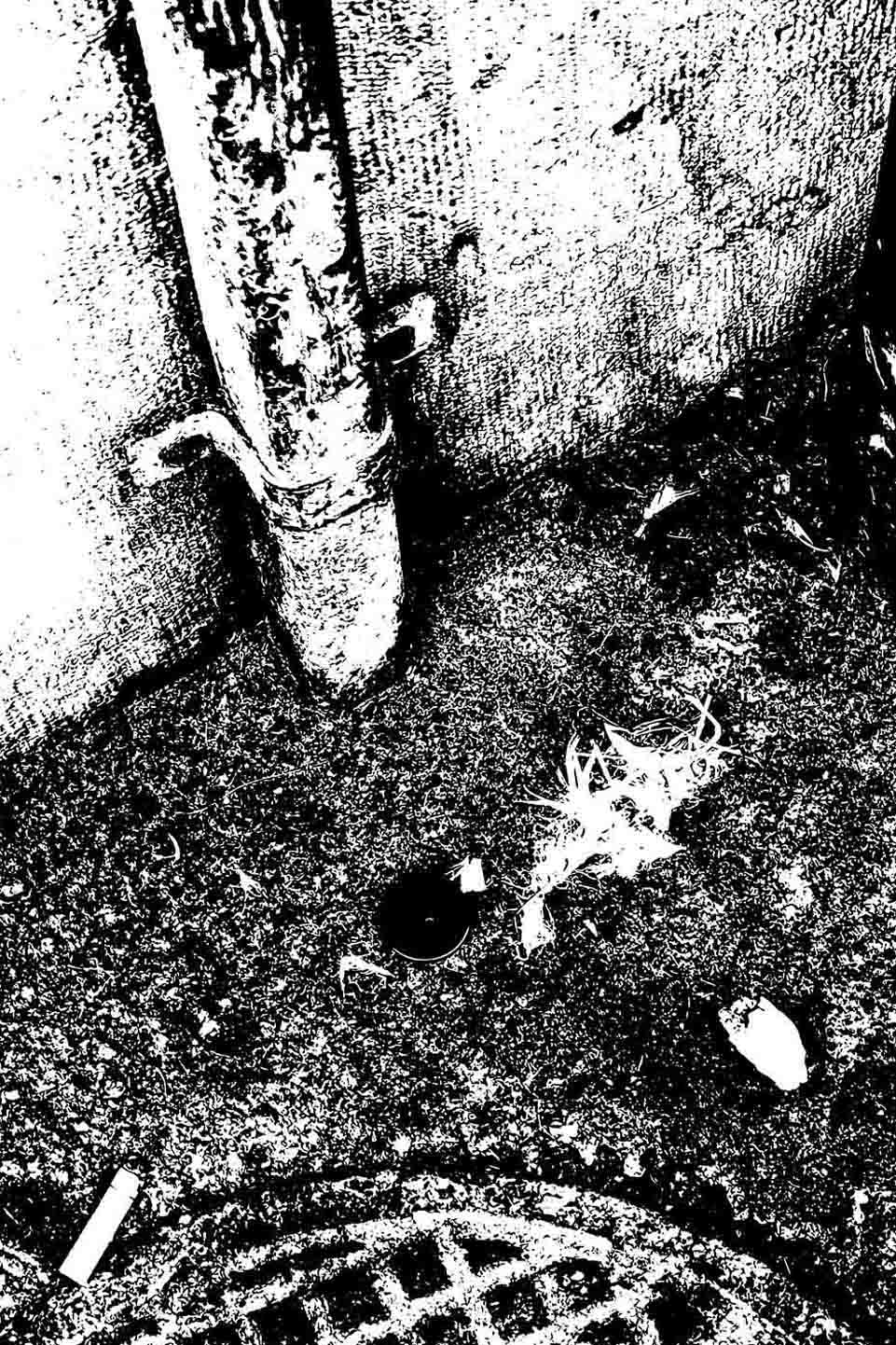 Foto Strassenrand nah